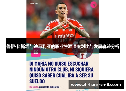 鲁伊-科斯塔与迪马利亚的职业生涯深度对比与发展轨迹分析
