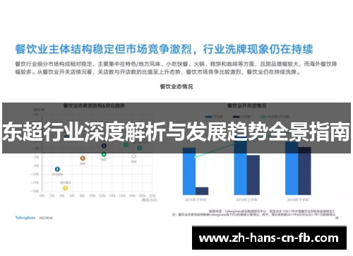 东超行业深度解析与发展趋势全景指南