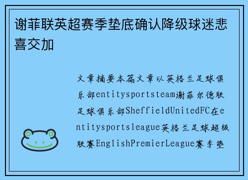 谢菲联英超赛季垫底确认降级球迷悲喜交加 谢菲联英超赛季垫底确认降级球迷悲喜交加